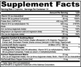 GLP-1 Companion Matrix+ — Digestive & Nutrient Support | Stellar Health Labs
